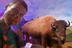 Selfie with bison